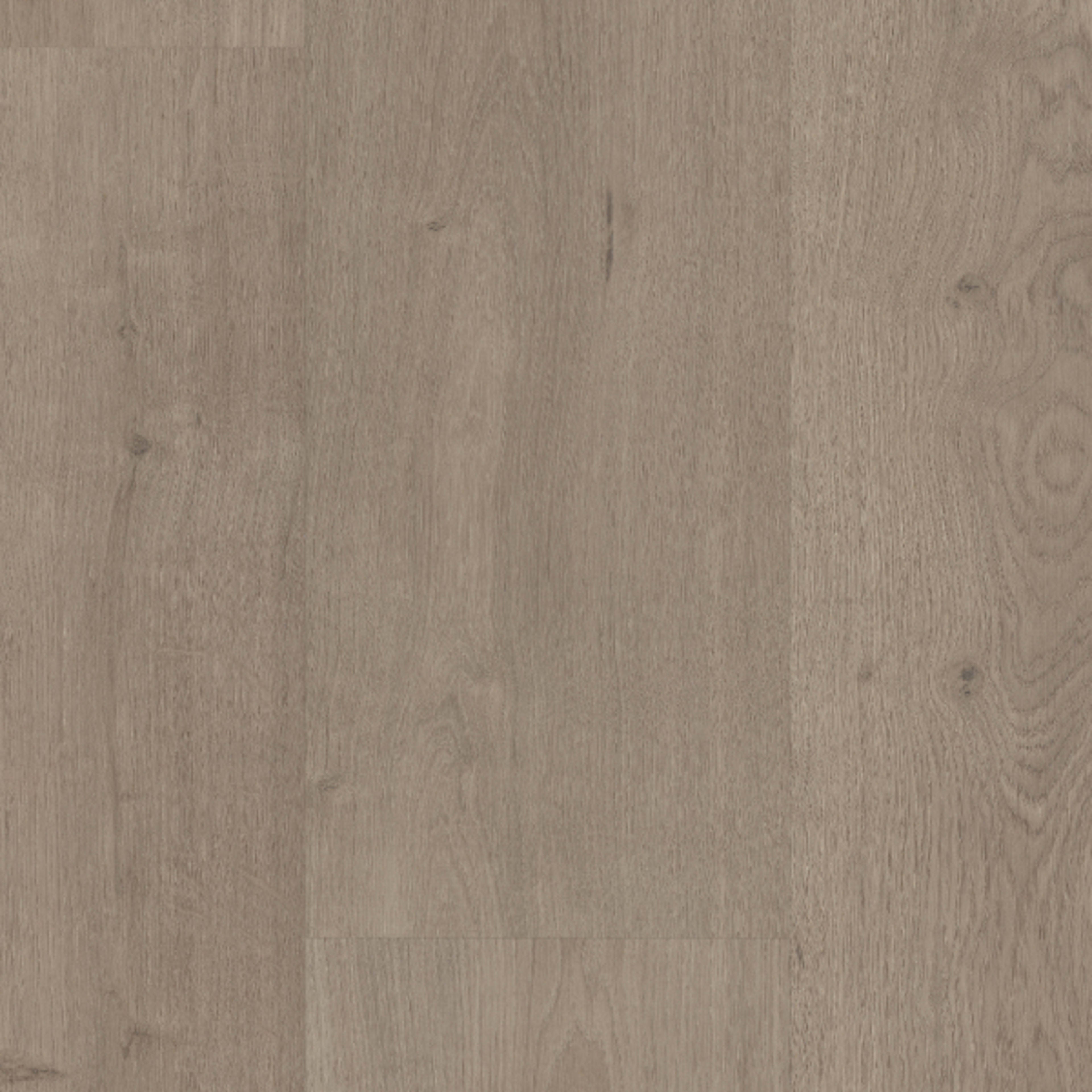 Sequoia in Cliff Creek Laminate