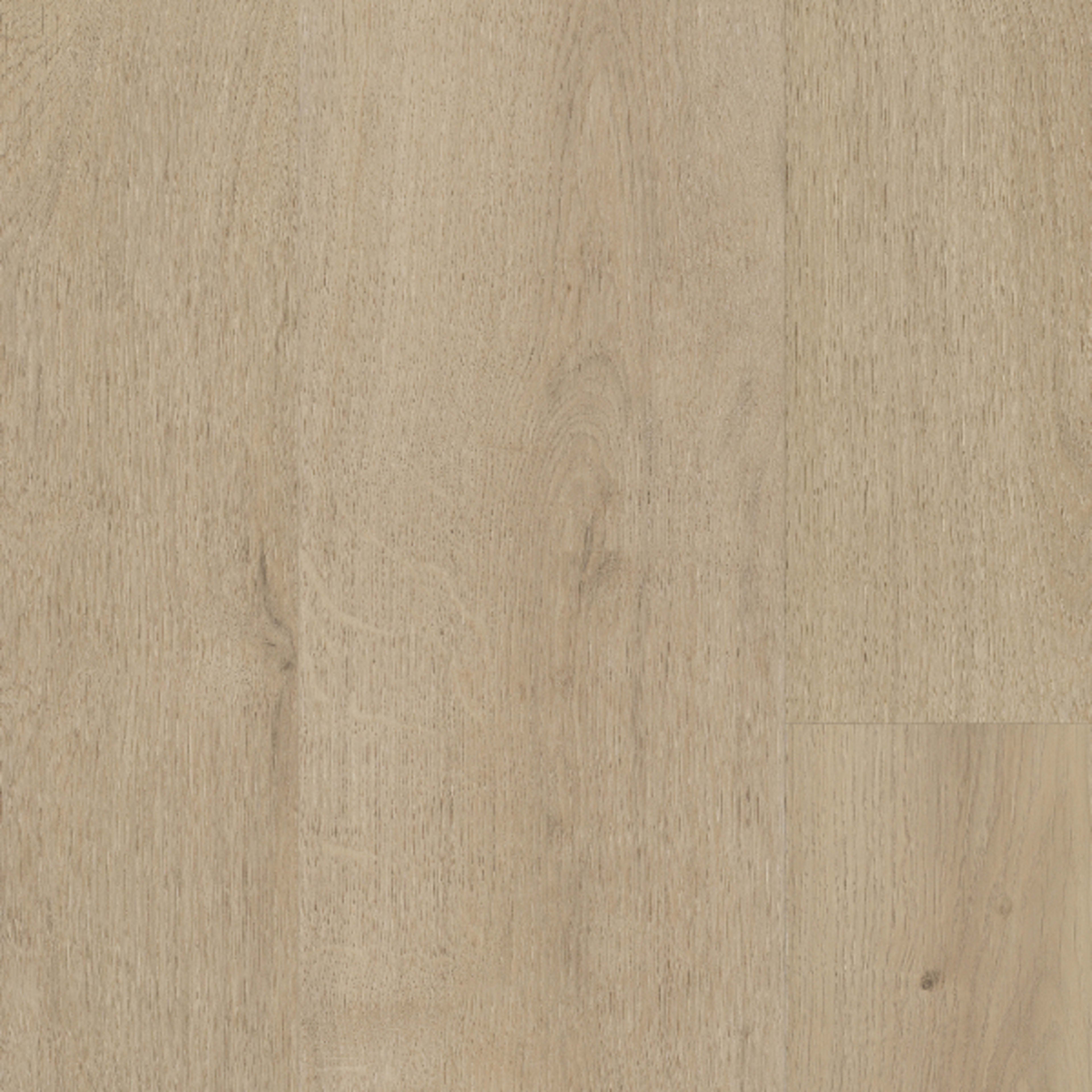 Sequoia in Mineral Peak Laminate