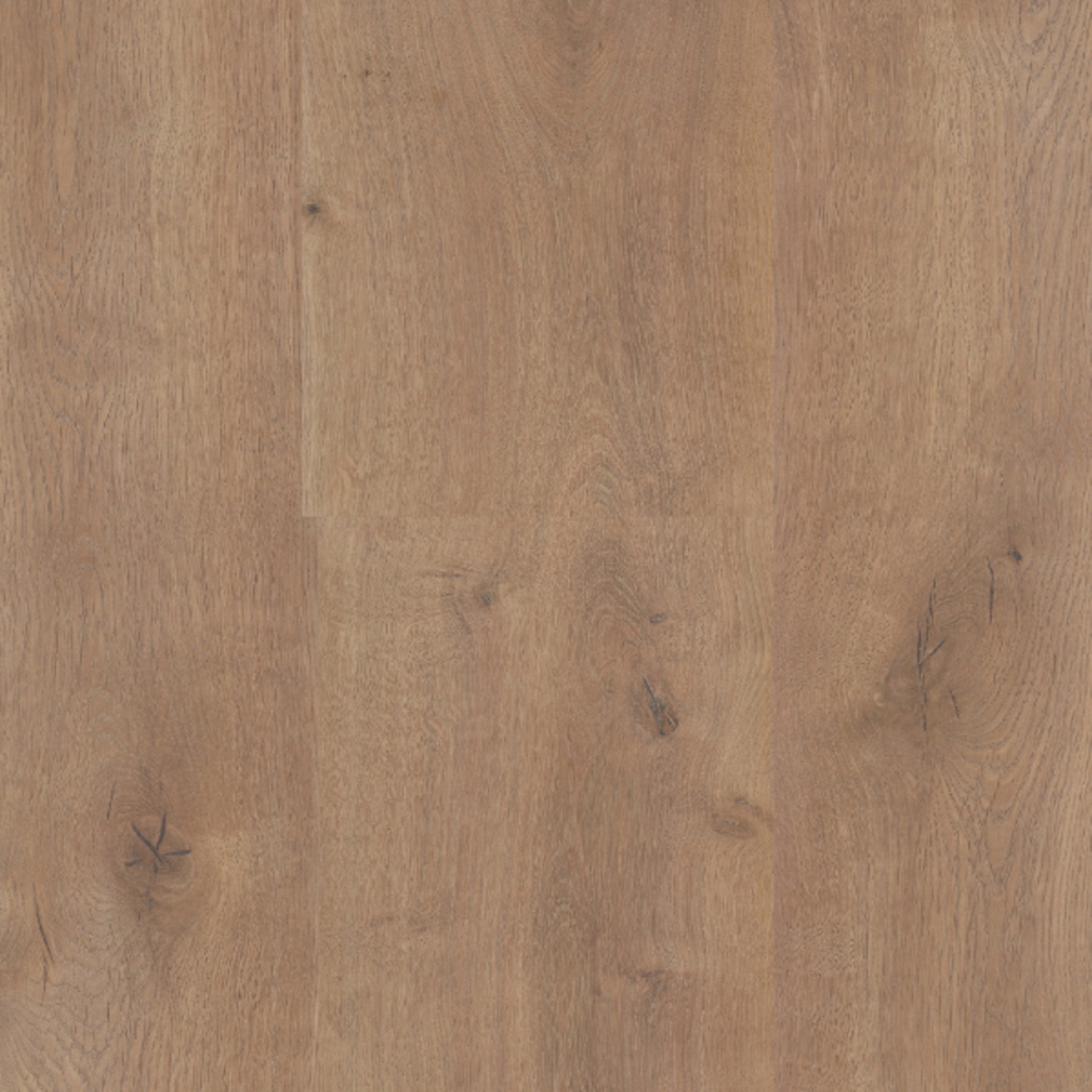 Sequoia in Spring Lake Laminate