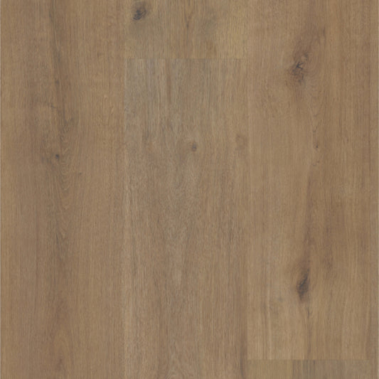 Sequoia in Eagle Scout Laminate